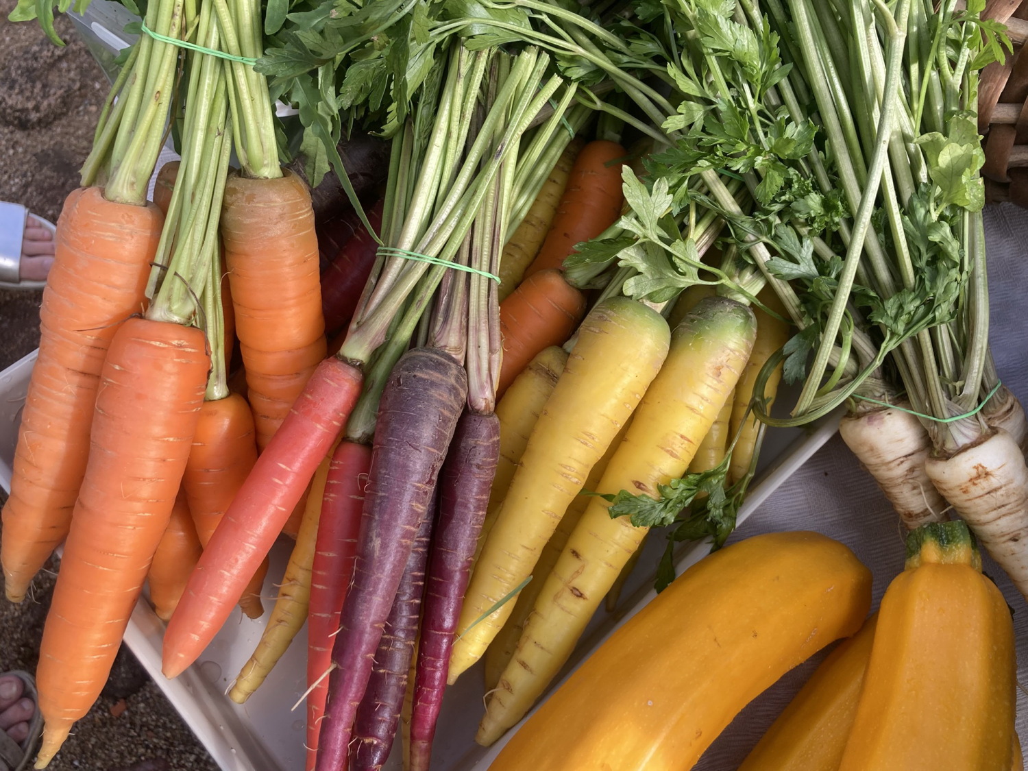 Fruit and vegetables at the Straupe Market